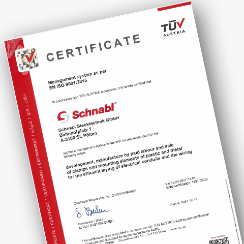 Download certificate for Schnabl Management TÜV