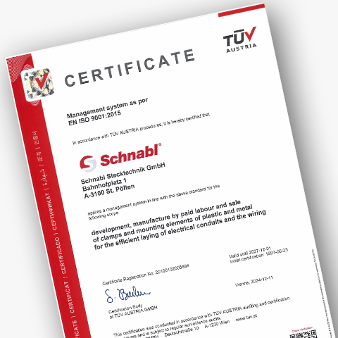 Download certificate for Schnabl Management TÜV